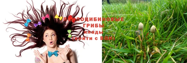 MDMA Premium VHQ Беломорск
