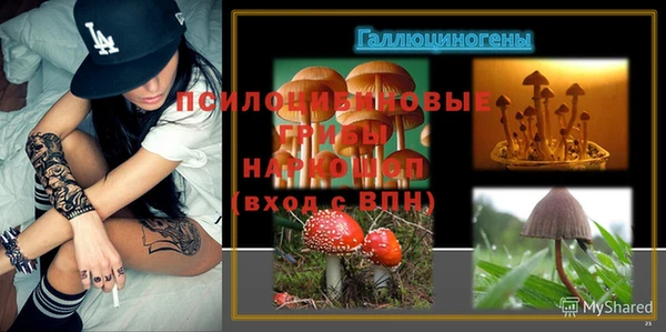 меф Арсеньев