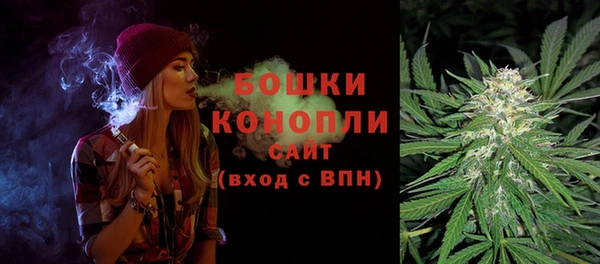 гидра Гусиноозёрск