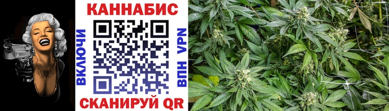 хочу наркоту  Канаш  гидра как зайти  Канабис VHQ 